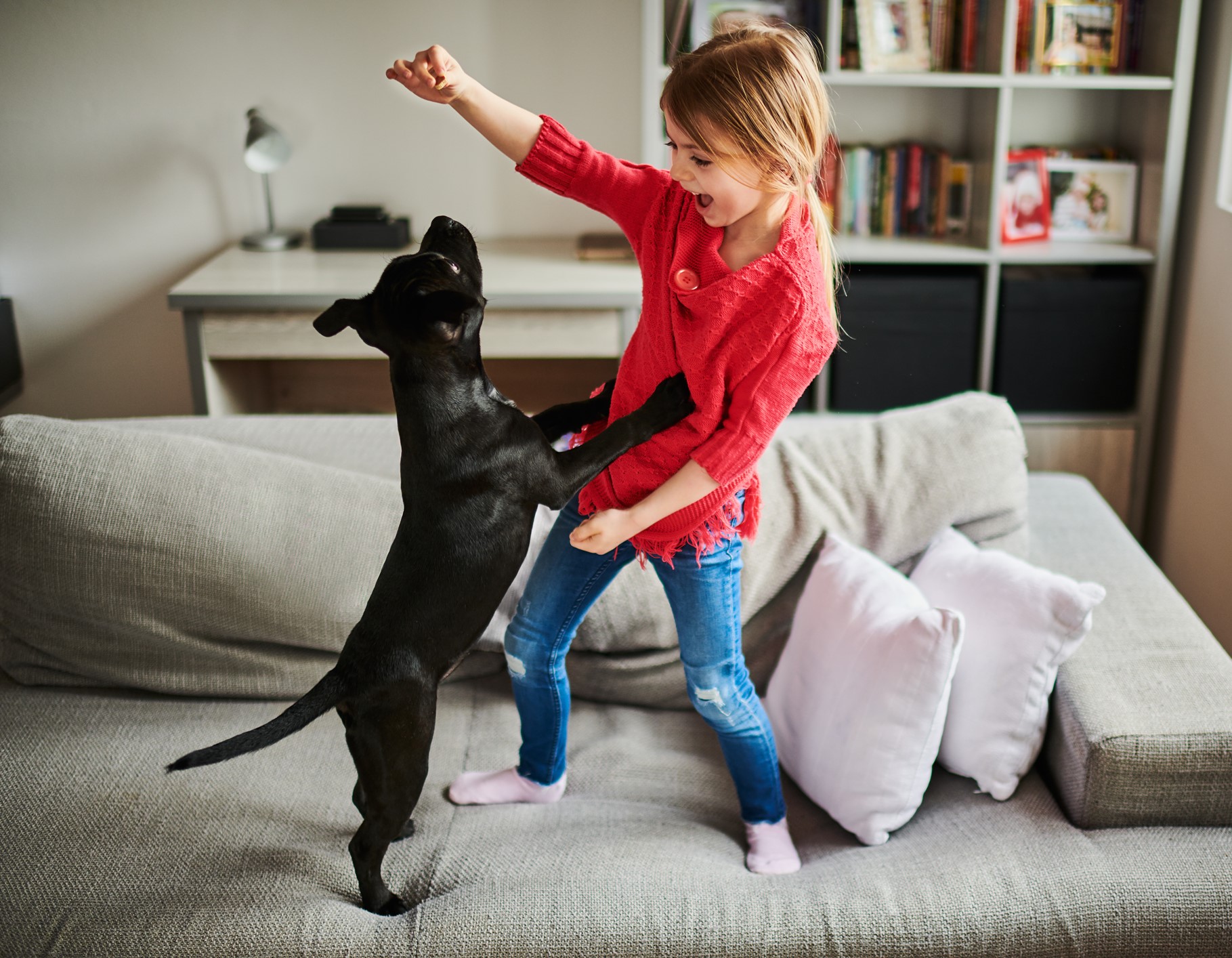 A girl petting a dog.