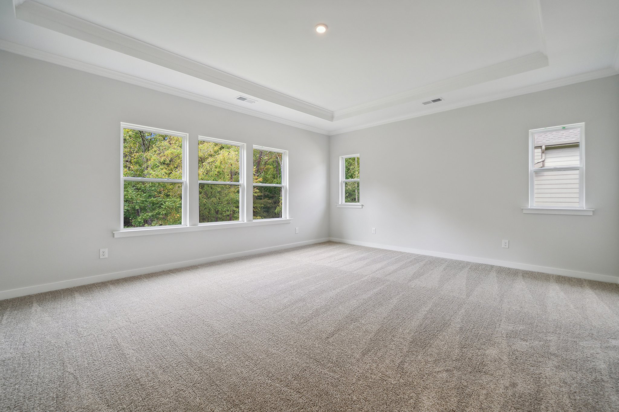 A room with a carpet and windows.