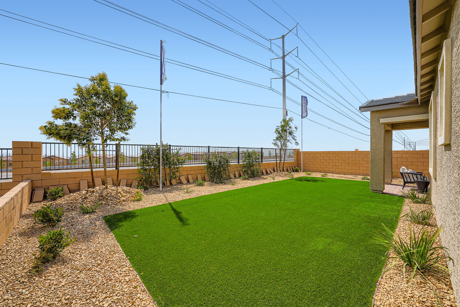 A backyard with a fence and a lawn with a tree and power lines.