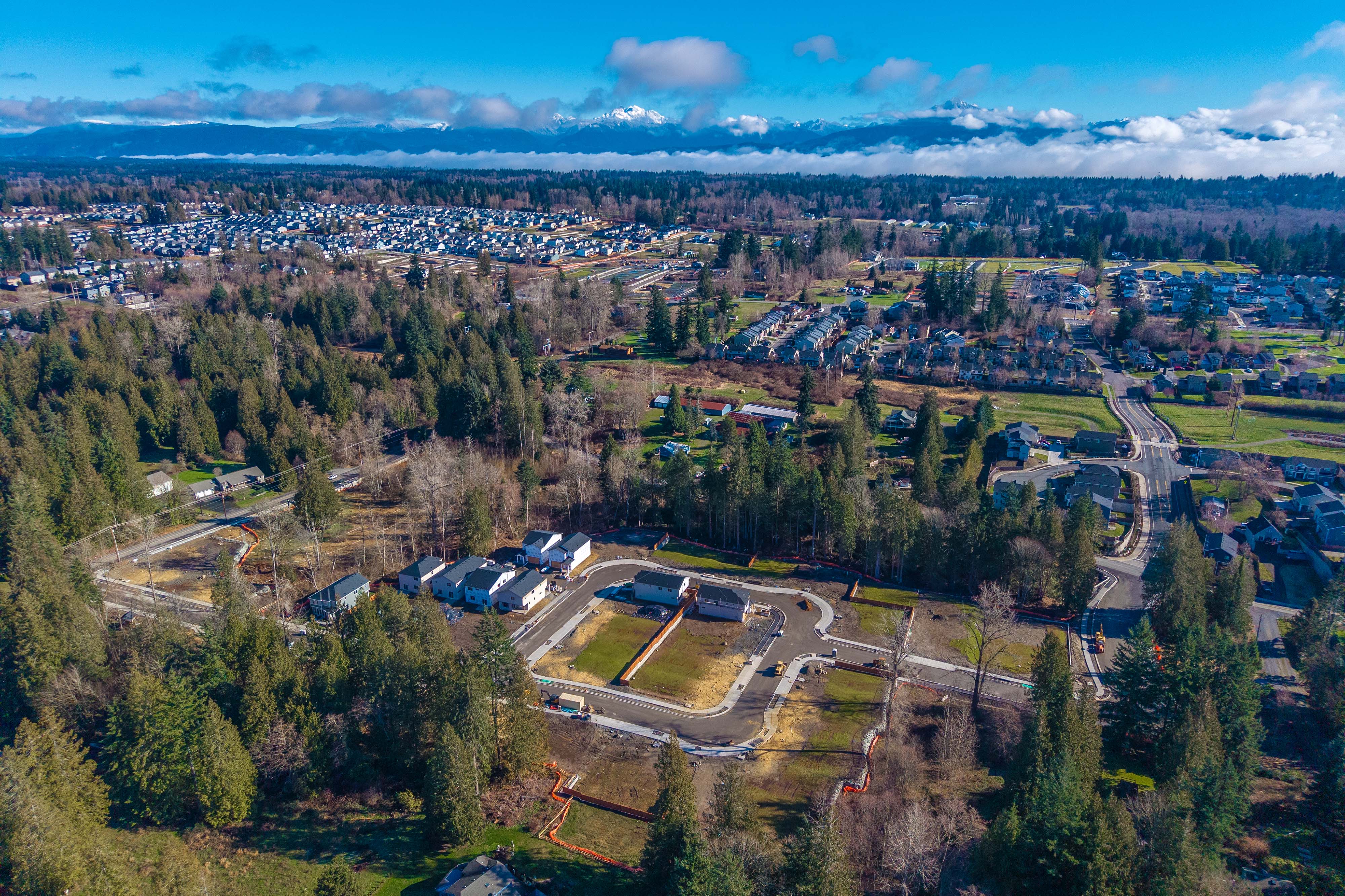 A landscape with trees and buildings.